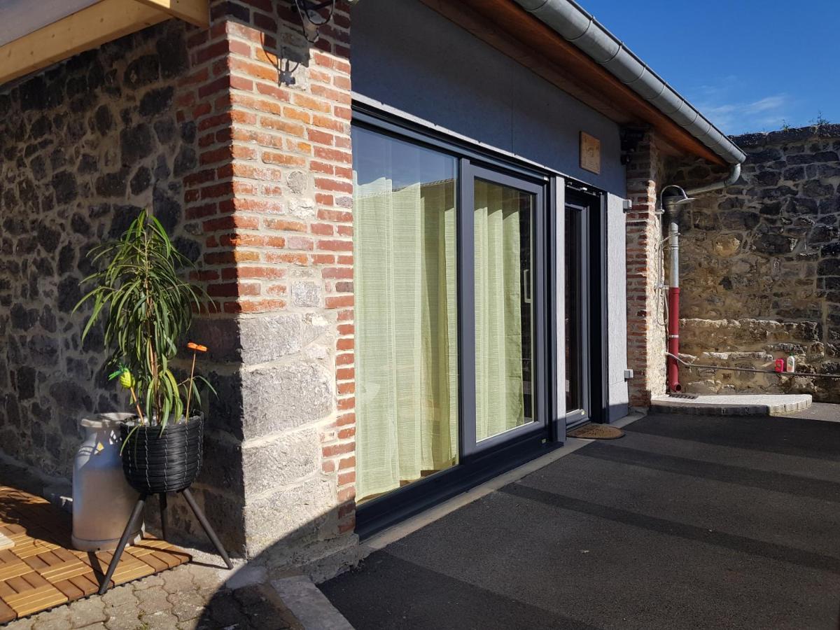 Hotel Duplex Swimming Cats à Saint-Hilaire-sur-Helpe Extérieur photo