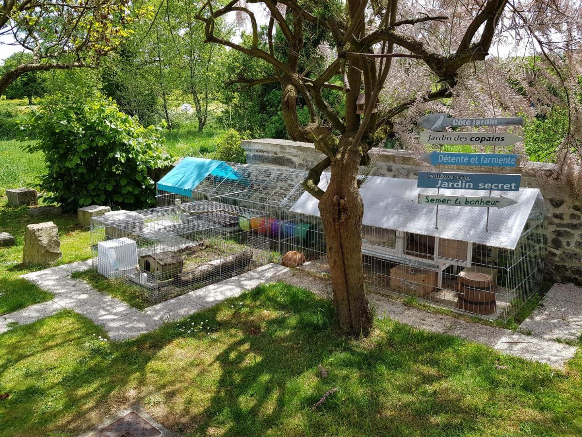 Hotel Duplex Swimming Cats à Saint-Hilaire-sur-Helpe Extérieur photo